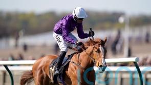 Mammas Girl motors to deeply impressive Neill Gwyn success