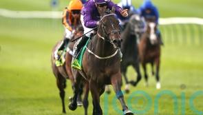 Indestructible earns Guineas ticket with Craven success