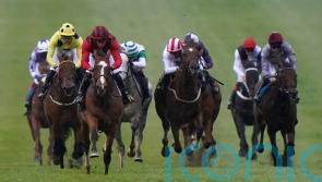 Waipiro makes waves in Derby market