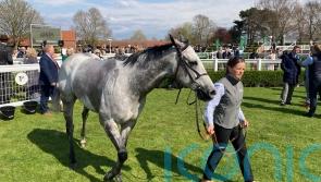 Garrus picks up deserved victory in Abernant Stakes
