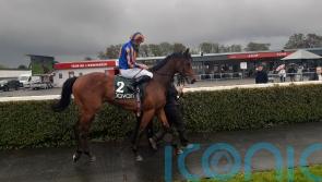 River Tiber rockets to most impressive Navan win