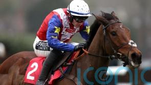 All systems go for Love Envoi raid on Punchestown