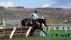 Richard Hoiles picks out his favourite memories of the season