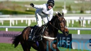 Constitution Hill and nine others that lit up the National Hunt season