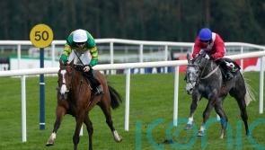 A Dream To Share does it again at Punchestown