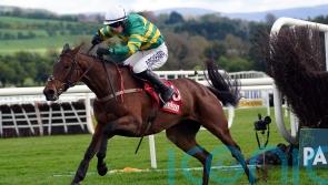 Impervious in a different league at Punchestown