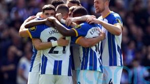 Brighton run riot to hammer Wolves and record biggest Premier League win