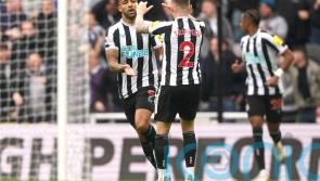 Substitute Callum Wilson&rsquo;s brace helps Newcastle hit back to beat Southampton