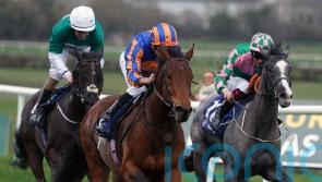 Aidan O&rsquo;Brien out to scratch Tetrarch itch