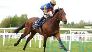 Paddington earns his crust in Tetrarch win
