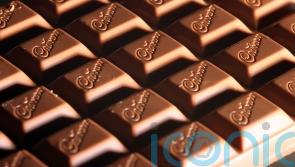'An isolated incident' - Cadbury desserts recalled over listeria contamination fears