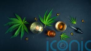 Irish and Canadian researchers publish study suggesting cannabis relieves cancer pain