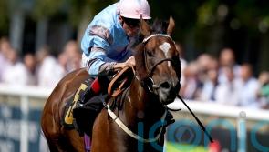 Astral Beau booked for Dahlia date