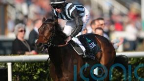 Chindit strikes first time out again to land Paradise Stakes