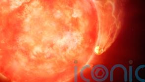 US astronomers observe star devouring planet in possible preview of Earth's end