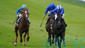 Mutasaabeq pointing towards Lockinge following Newmarket strike