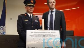 Bolstering Garda numbers post-Covid has taken time, says Simon Harris