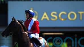 Twilight takes Palace test after lengthy absence