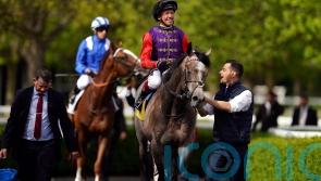 Saga and Hope aiming to crown racing&rsquo;s coronation celebrations