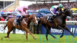 Vadream swoops late to grab Palace prize