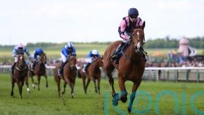 Via Sistina oozes class in Dahlia Stakes cruise