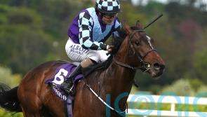 Sprewell powers into Derby reckoning with Leopardstown win