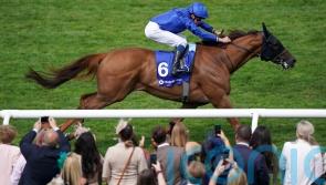 Globetrotting Yibir on course for Newbury comeback