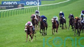 Chaldean in good shape after Guineas heroics