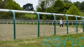 Waterlogging forces all-weather switch for Lingfield&rsquo;s Classic trials