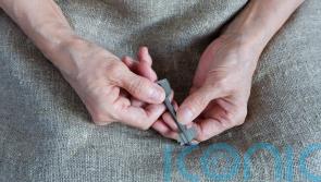 A quarter of older tenants expect to stay in private rental sector &ndash; report