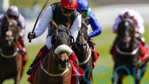 Falcon Eight back on Chester Cup duty, but with weight and age concerns