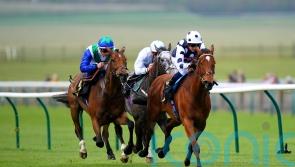 Rebel Territory claims Victoria Cup spoils for Amanda Perrett