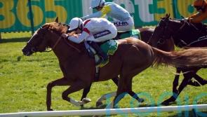 Ferguson eager to assess Canberra&rsquo;s Classic claims