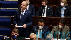 Martin&rsquo;s Dail comments &lsquo;highly inappropriate&rsquo;, says businessman Cosgrave