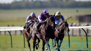 Persian Dreamer team deliberating Royal Ascot route