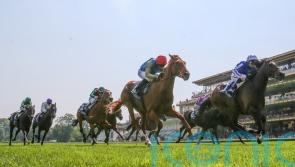 Isaac Shelby edged out in French Guineas thriller