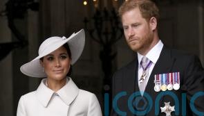 Prince Harry and Meghan pursued &lsquo;relentlessly&rsquo; in &lsquo;near catastrophic&rsquo; car chase