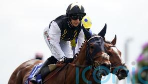 Scampi provides tasty York triumph for Turner