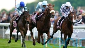 Giavellotto hits the target to put Botti back in the limelight