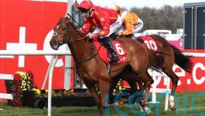 Wise Eagle soaring in elite company with fairytale Gold Cup bid