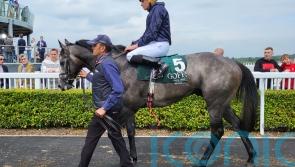 The Antarctic holds on for Lacken Stakes glory