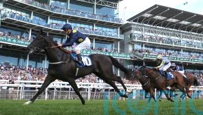 Tate expecting Royal Aclaim to take high rank this year