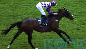 Shaquille poised to shoot for Commonwealth crown