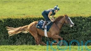 Charlie Johnston sure Dubai Mile can go the Derby distance