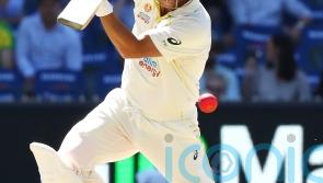 David Warner backed to enjoy &lsquo;significant&rsquo; Ashes role by coach Andrew McDonald