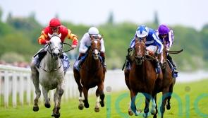 The Foxes would be a poignant Derby winner for Balding and King Power