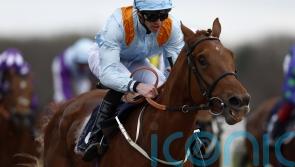 Dear My Friend to break new ground for Middleham Park in Derby