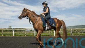 Johnston dreaming of Derby delight with Dubai Mile