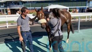 Land Lover revved up for Woodcote with Demuro in the saddle