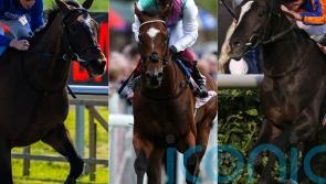 Auguste Rodin heads 14 contenders for Derby glory